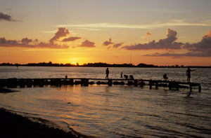 Sarasota